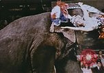 Standbild Ringling Brothers Barnum & Bailey Circus anzeigen Nashville Tennessee USA, 1977, aus Sekunde 58 historischem Filmmaterial Videoclip 65675023779