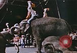 Standbild Ringling Brothers Barnum & Bailey Circus anzeigen Nashville Tennessee USA, 1977, aus Sekunde 59 historischem Filmmaterial Videoclip 65675023779