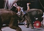 Standbild Ringling Brothers Barnum & Bailey Circus anzeigen Nashville Tennessee USA, 1977, aus Sekunde 60 historischem Filmmaterial Videoclip 65675023779
