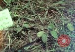 Image of US Fire Support Base Normandy Vietnam, 1969, second 1 stock footage video 65675023783
