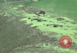 Image of CH-54 transports artillery in Vietnam Vietnam, 1969, second 18 stock footage video 65675023784