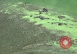 Image of CH-54 transports artillery in Vietnam Vietnam, 1969, second 19 stock footage video 65675023784