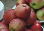 Image of Thanksgiving dinner Vietnam, 1969, second 30 stock footage video 65675023787