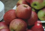 Image of Thanksgiving dinner Vietnam, 1969, second 31 stock footage video 65675023787