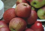 Image of Thanksgiving dinner Vietnam, 1969, second 32 stock footage video 65675023787