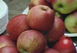 Image of Thanksgiving dinner Vietnam, 1969, second 33 stock footage video 65675023787
