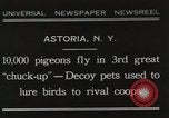 Immagine di Piccioni rilasciato in Chuck-up Astoria New York USA, 1931, secondo 1 filmato di repertorio 65675023807