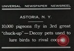 Immagine di Piccioni rilasciato in Chuck-up Astoria New York USA, 1931, secondo 3 filmato di repertorio 65675023807