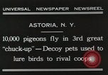 Immagine di Piccioni rilasciato in Chuck-up Astoria New York USA, 1931, secondo 4 filmato di repertorio 65675023807