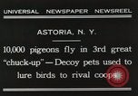 Immagine di Piccioni rilasciato in Chuck-up Astoria New York USA, 1931, secondo 6 filmato di repertorio 65675023807