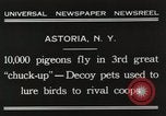 Immagine di Piccioni rilasciato in Chuck-up Astoria New York USA, 1931, secondo 7 filmato di repertorio 65675023807
