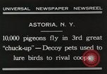 Immagine di Piccioni rilasciato in Chuck-up Astoria New York USA, 1931, secondo 8 filmato di repertorio 65675023807