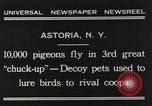 Immagine di Piccioni rilasciato in Chuck-up Astoria New York USA, 1931, secondo 11 filmato di repertorio 65675023807