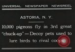 Immagine di Piccioni rilasciato in Chuck-up Astoria New York USA, 1931, secondo 12 filmato di repertorio 65675023807