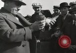 Immagine di Piccioni rilasciato in Chuck-up Astoria New York USA, 1931, secondo 33 filmato di repertorio 65675023807