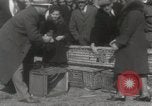 Immagine di Piccioni rilasciato in Chuck-up Astoria New York USA, 1931, secondo 34 filmato di repertorio 65675023807