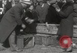 Immagine di Piccioni rilasciato in Chuck-up Astoria New York USA, 1931, secondo 37 filmato di repertorio 65675023807