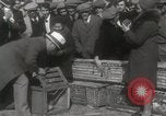 Immagine di Piccioni rilasciato in Chuck-up Astoria New York USA, 1931, secondo 38 filmato di repertorio 65675023807