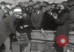 Immagine di Piccioni rilasciato in Chuck-up Astoria New York USA, 1931, secondo 39 filmato di repertorio 65675023807