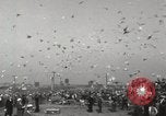 Immagine di Piccioni rilasciato in Chuck-up Astoria New York USA, 1931, secondo 53 filmato di repertorio 65675023807