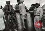 Immagine di Nazionale gara a palloncino Houston Texas USA, 1930, secondo 25 filmato di repertorio 65675023810