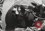 Standbild George L Stathakis Tod in Niagara Falls Zylinder Niagara Falls New York USA, 1930, aus Sekunde 23 historischem Filmmaterial Videoclip 65675023811