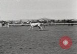 Immagine di Rodeo annuale Livermore California USA, 1930, secondo 23 filmato di repertorio 65675023815