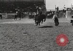 Immagine di Rodeo annuale Livermore California USA, 1930, secondo 38 filmato di repertorio 65675023815