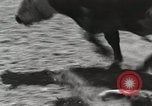 Immagine di Rodeo annuale Livermore California USA, 1930, secondo 42 filmato di repertorio 65675023815
