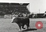 Immagine di Rodeo annuale Livermore California USA, 1930, secondo 57 filmato di repertorio 65675023815