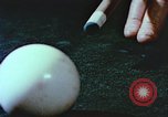 Image of Atomic power Plant United States USA, 1957, second 56 stock footage video 65675023825