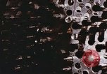Image of Cancer research Boston Massachusetts USA, 1957, second 31 stock footage video 65675023828