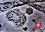 Image of Cancer research Boston Massachusetts USA, 1957, second 47 stock footage video 65675023828