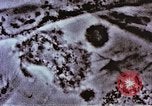 Image of Cancer research Boston Massachusetts USA, 1957, second 48 stock footage video 65675023828