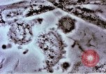Image of Cancer research Boston Massachusetts USA, 1957, second 50 stock footage video 65675023828