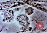 Image of Cancer research Boston Massachusetts USA, 1957, second 51 stock footage video 65675023828