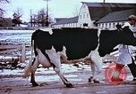 Image of University of Maryland dairy farm College Park Maryland USA, 1957, second 5 stock footage video 65675023829