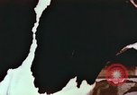 Image of University of Maryland dairy farm College Park Maryland USA, 1957, second 30 stock footage video 65675023829