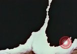 Image of University of Maryland dairy farm College Park Maryland USA, 1957, second 31 stock footage video 65675023829