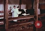 Image of University of Maryland dairy farm College Park Maryland USA, 1957, second 40 stock footage video 65675023829