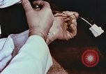 Image of University of Maryland dairy farm College Park Maryland USA, 1957, second 45 stock footage video 65675023829