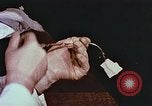 Image of University of Maryland dairy farm College Park Maryland USA, 1957, second 47 stock footage video 65675023829
