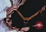 Image of University of Maryland dairy farm College Park Maryland USA, 1957, second 48 stock footage video 65675023829