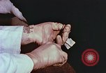 Image of University of Maryland dairy farm College Park Maryland USA, 1957, second 51 stock footage video 65675023829