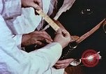 Image of University of Maryland dairy farm College Park Maryland USA, 1957, second 53 stock footage video 65675023829