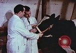 Image of University of Maryland dairy farm College Park Maryland USA, 1957, second 54 stock footage video 65675023829