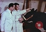 Image of University of Maryland dairy farm College Park Maryland USA, 1957, second 55 stock footage video 65675023829