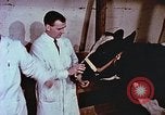 Image of University of Maryland dairy farm College Park Maryland USA, 1957, second 56 stock footage video 65675023829