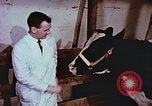 Image of University of Maryland dairy farm College Park Maryland USA, 1957, second 57 stock footage video 65675023829