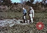 Image arachides à partir de graines irradiées Raleigh North Carolina United States USA, 1957, de la seconde 37 séquences d'archives historiques vidéo 65675023830